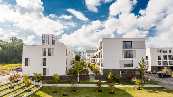 Drohnen-Luftaufnahme: Grundstück und Lage im Sauerland – freiwerk